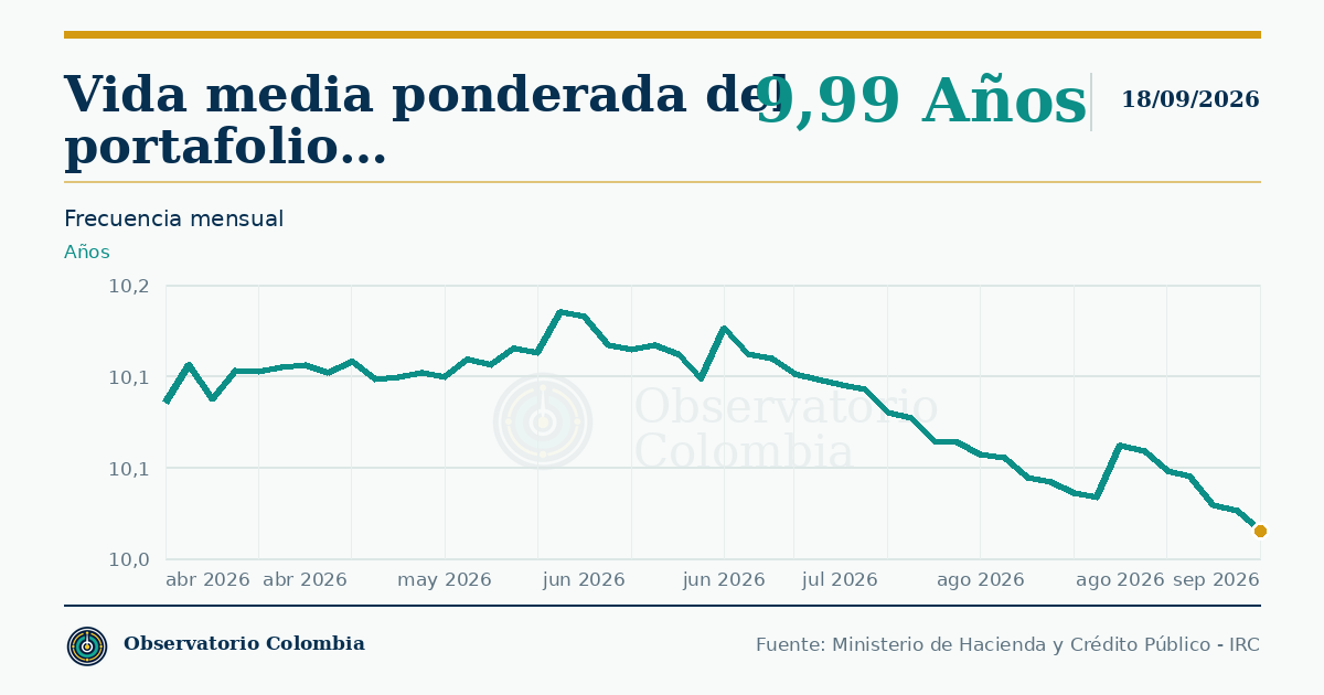 ¿Cuál es la vida media de la deuda TES?